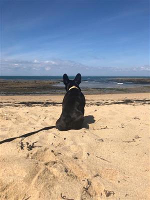marcel plage 2