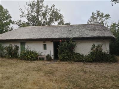 img 20250718 102606
